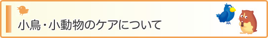 小鳥・小動物のケアについて
